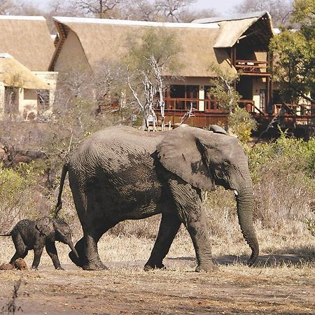Elephant Plains Game Lodge Sabi Sand Game Reserve Buitenkant foto