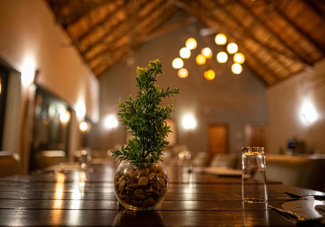 Elephant Plains Game Lodge Sabi Sand Game Reserve Buitenkant foto