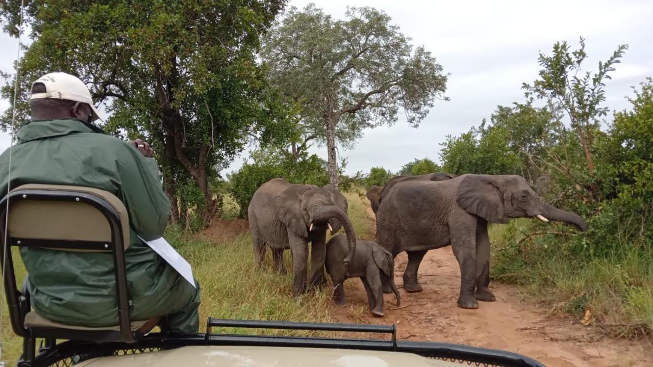Elephant Plains Game Lodge Sabi Sand Game Reserve Buitenkant foto