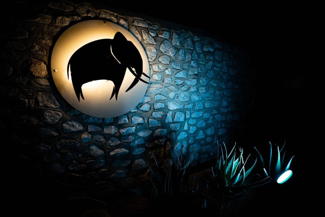 Elephant Plains Game Lodge Sabi Sand Game Reserve Buitenkant foto