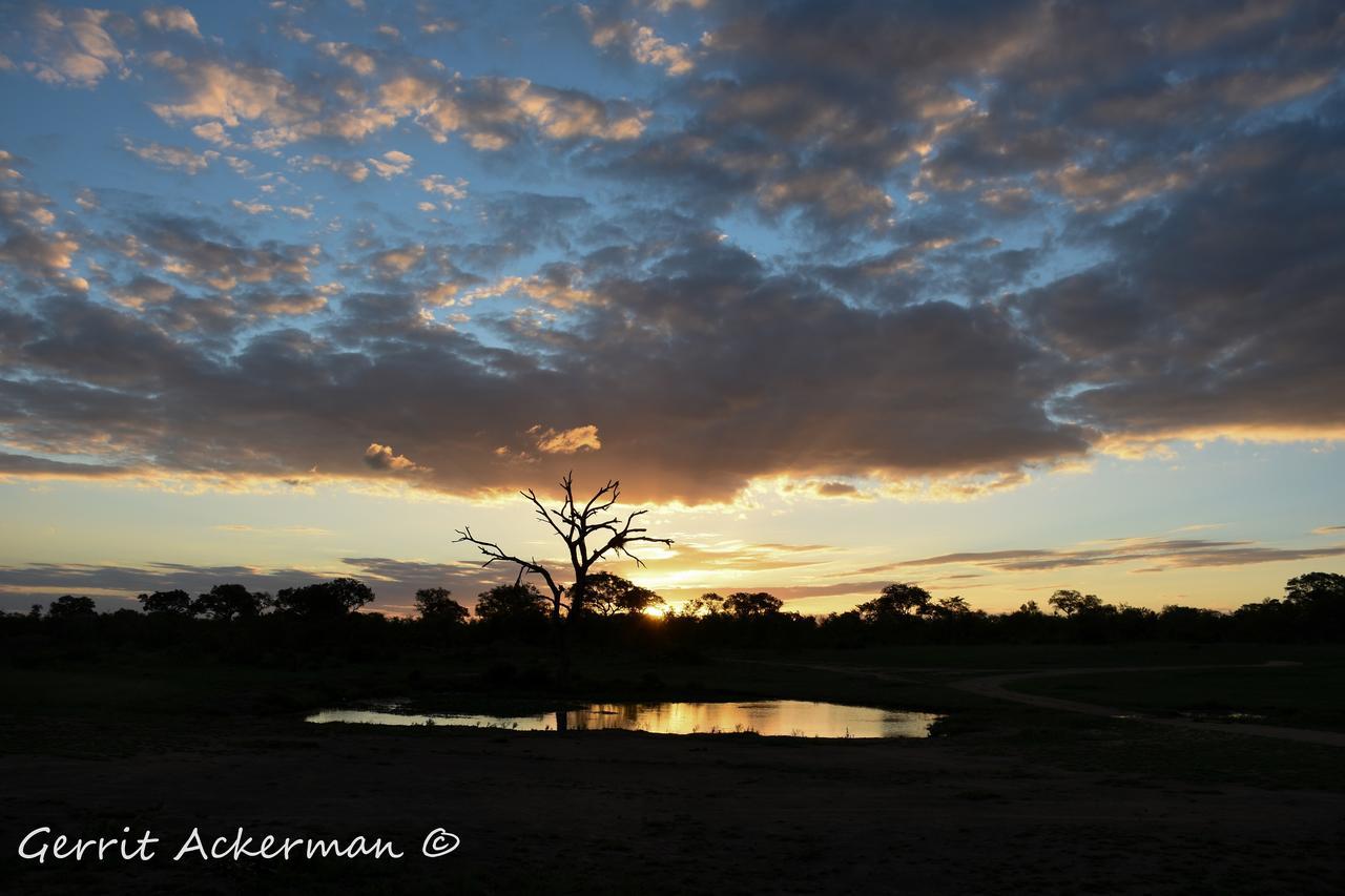 Elephant Plains Game Lodge Sabi Sand Game Reserve Buitenkant foto